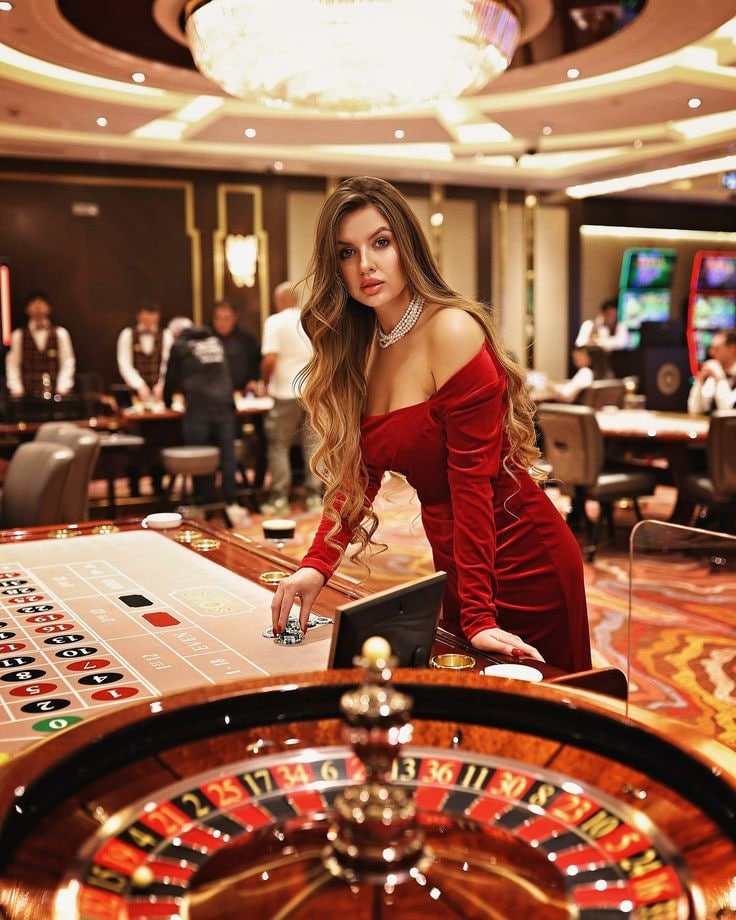 rajaong live dealer broadcasting Dadu Online from studio